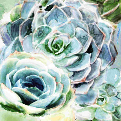 " Succulent 4 " Painting Print
