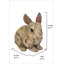 Statue lapin en bois flotté-339798858