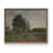 Noyer