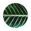 Sous-verres ronds en cuir tropical-119015389