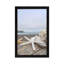Crescent Beach Shells XIV by Alan Blaustein - Floater Frame Print on Canvas-948603317-948603319