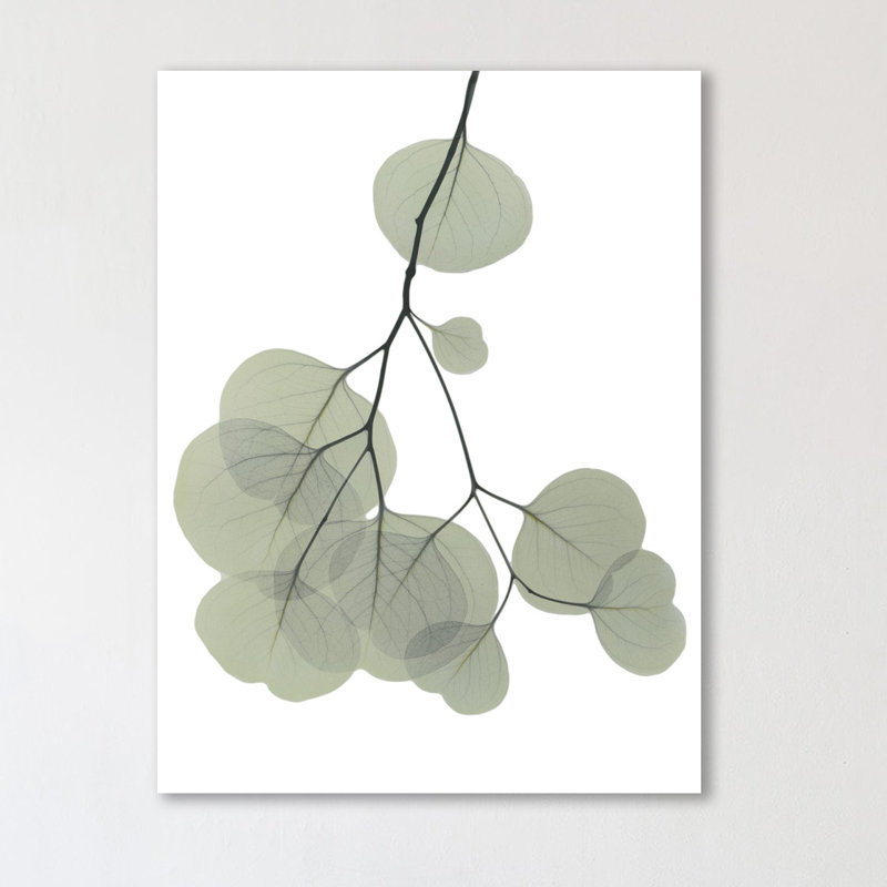 « descending eucalyptus 3 », reproduction d’impression sur toile tendue, H 16 po x l 12 po