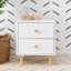Lolly 2 Drawer Nightstand with USB Port-64242249