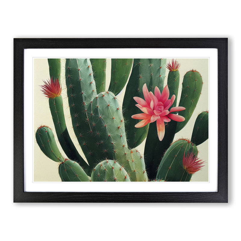 Splendorous Cactus - Framed Print, 25cm H x 34cm W x 2cm D, Black