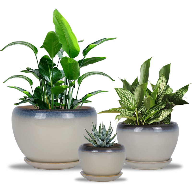 Ensemble de 3 pots en céramique avec drain et soucoupes