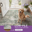 Tapis intérieur Pavelina-725551666