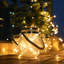 Pierview LED Outdoor Hanging Lantern