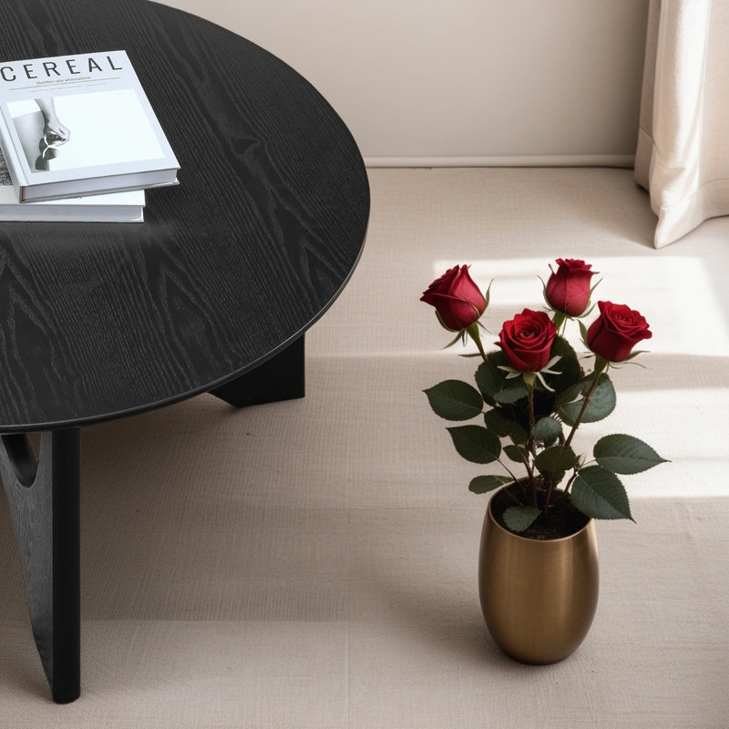 Table basse ronde en bois Urian, Noir