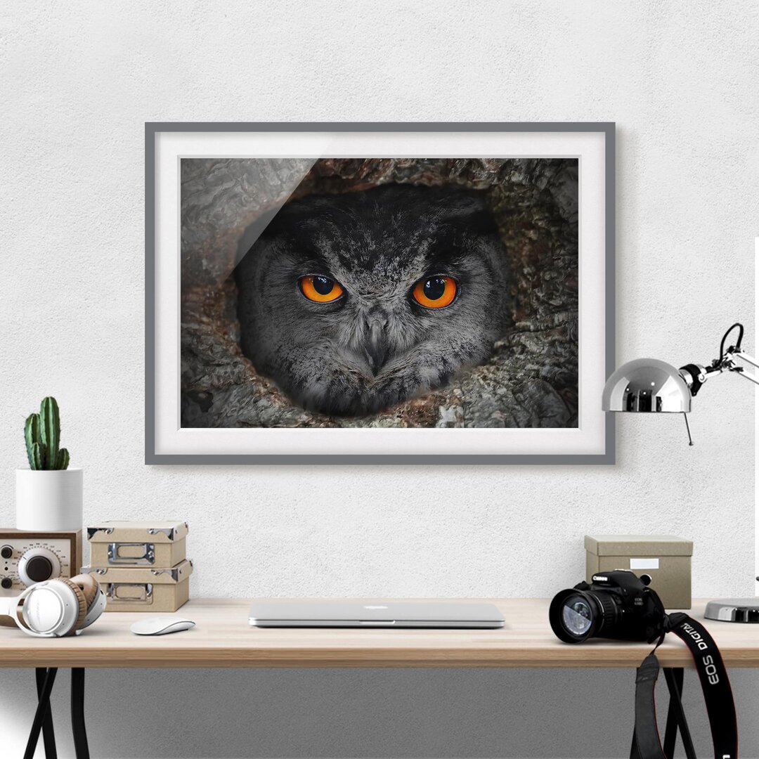 Gerahmter Fotodruck Watching Owl