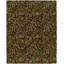 Wool Floral Area Rug in Brown-906153884