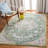 Kaibab Performance Oriental Rug-1521149413
