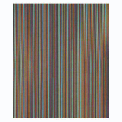 Sinoir Stripe Fabric