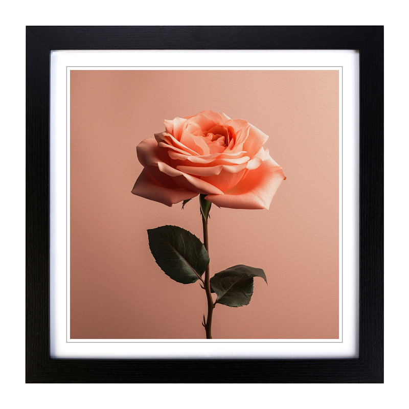 Rose Minimalism - Framed Print, Black