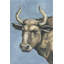 « bull attitude », reproduction de peinture à l’acrylique sur toile-62472677-24368027