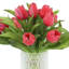 Tulips Arranged in Glass Vase