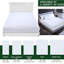 Bahari DE Size - 80 X 190 Cm White Noise Foam Mattress