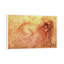 Sketch Of A Roaring Lion by Leonardo Da Vinci - Painting on Canvas-89235133-49987580