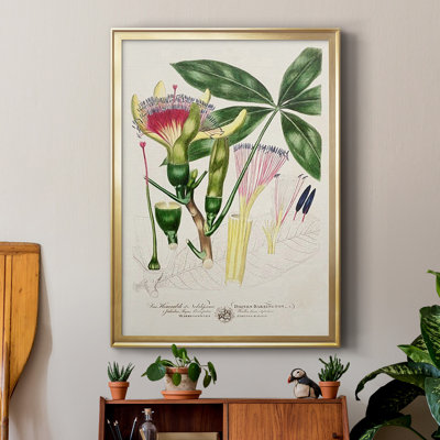 " Imperial Tropical Botanical II "