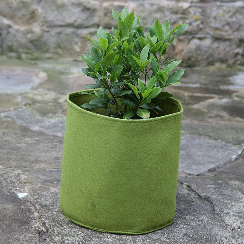 Arionah Pot Planter