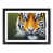 Black Framed selected