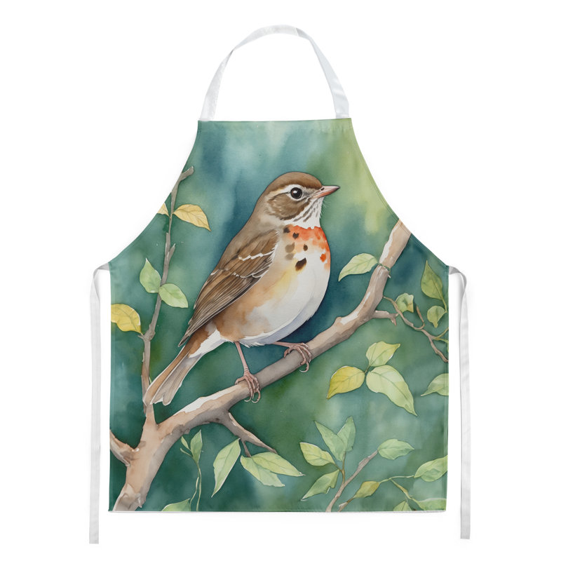 Apron, Vermont Hermit Thrush