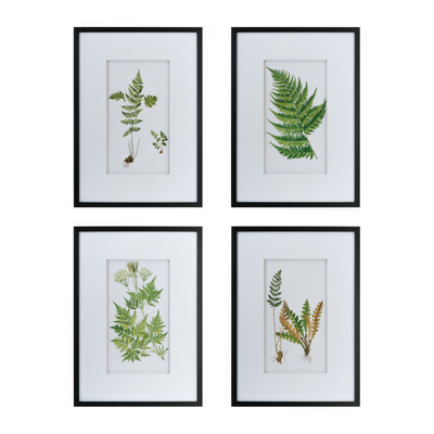 Set of 4 Botanical Black And White Fern Wall Art , Wall Decor for Living Room Dining Room  Entryway, 19.7" x 27.6"