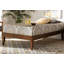 Lilia 14.17" Platform Bed-1466996671