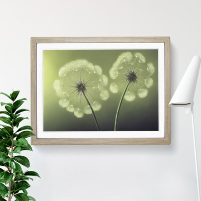 Soulful Dandelion Flowers - Framed Print