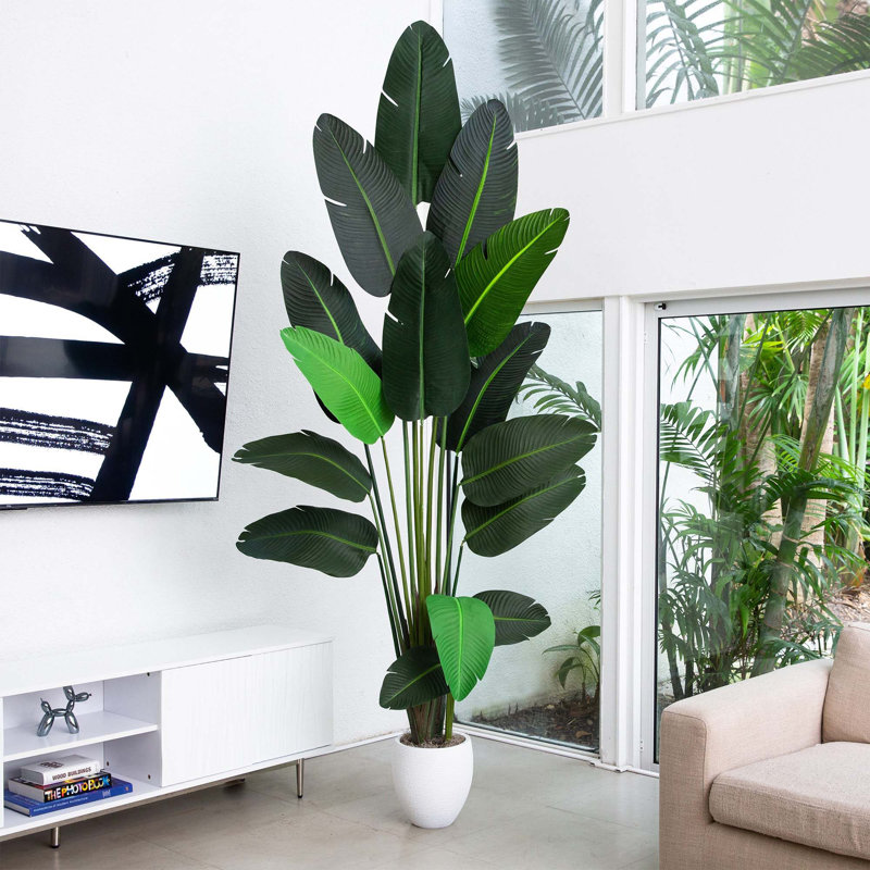 108 plantes