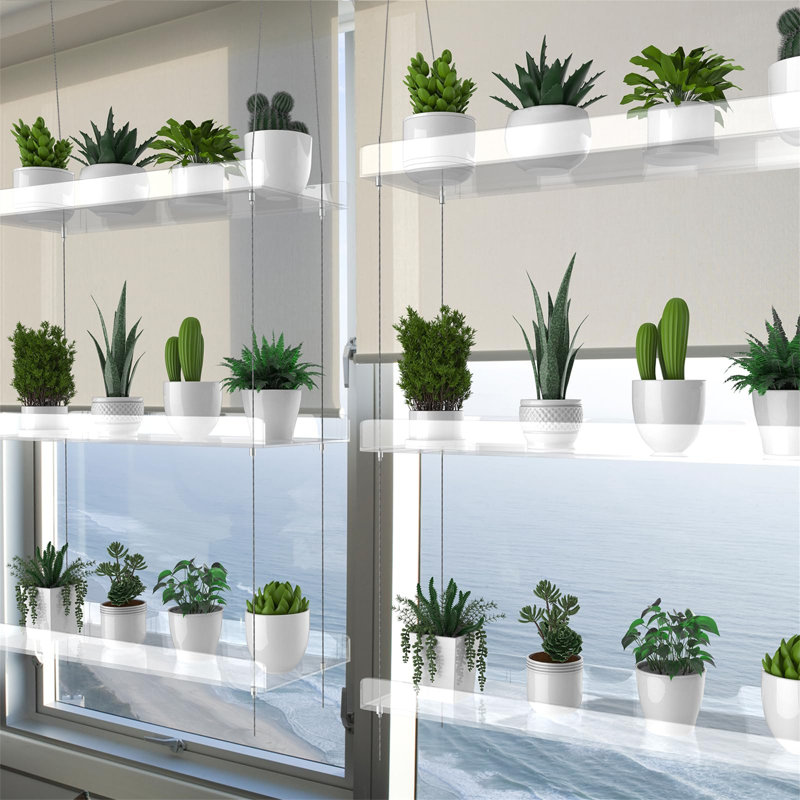 Damontez Plant Stand
