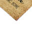 Non-Slip Indoor Doormat