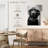 Brampt Black Labrador Boss-108505021