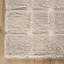 Abani Rugs GLE110A Grid Shag Cream Area Rug-163337474