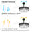 Magel 42'' Ceiling Fan with LED Lights