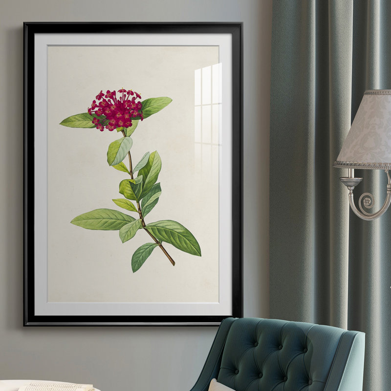 «Pretty Pink Botanicals II» - reproduction de cadre photo, H 36,5 po x l 26,5 po x P 1 po, Noir