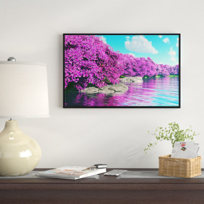 " Beautiful Row Of Cherry Blossoms "