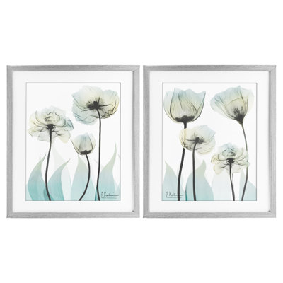 Ensemble de 2 impressions encadrées sous verre Luxury Of Creation Flowers, design par Albert Koetsier