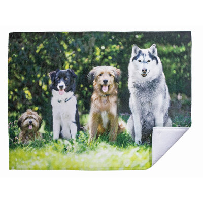 Tapis de séchage en microfibre (ensemble de 2 animaux)