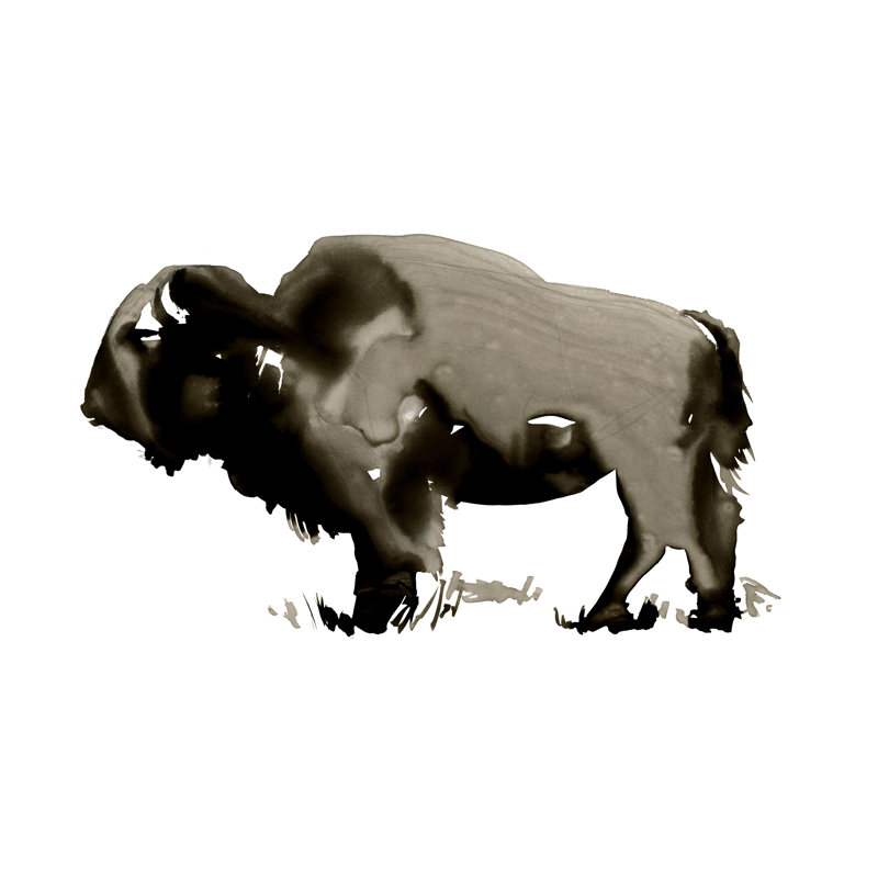 Monochrome Bison II by Jennifer Paxton Parker - Art Prints, 61 cm H x 91 cm W, Wrapped Canvas