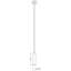 ALC 1 - Light Single Cylinder LED Pendant