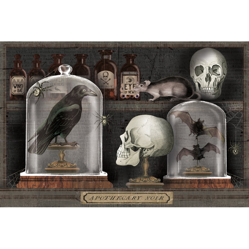 Apothecary Noir V - Wrapped Canvas Print, 81cm H x 122cm W
