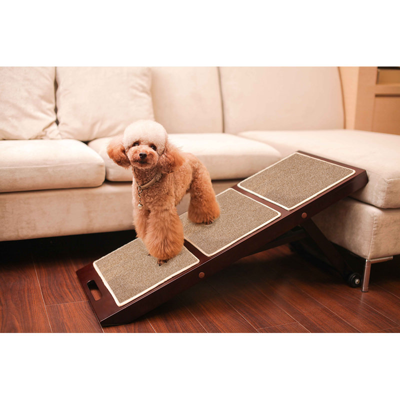 Rampe pour animaux 33,5 po Octavia