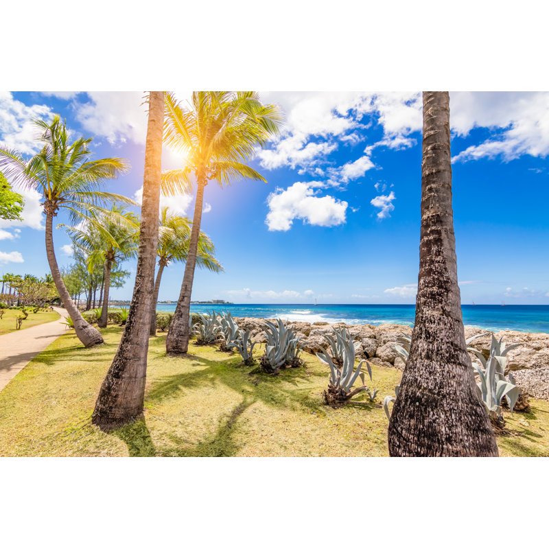 Palm Trees - Wrapped Canvas Print, 81cm H x 122cm W x 3.8cm D