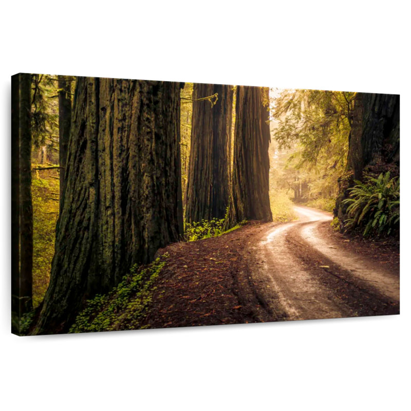 Harnek Howland Hill Road Redwoods, 8'' H x 12'' W