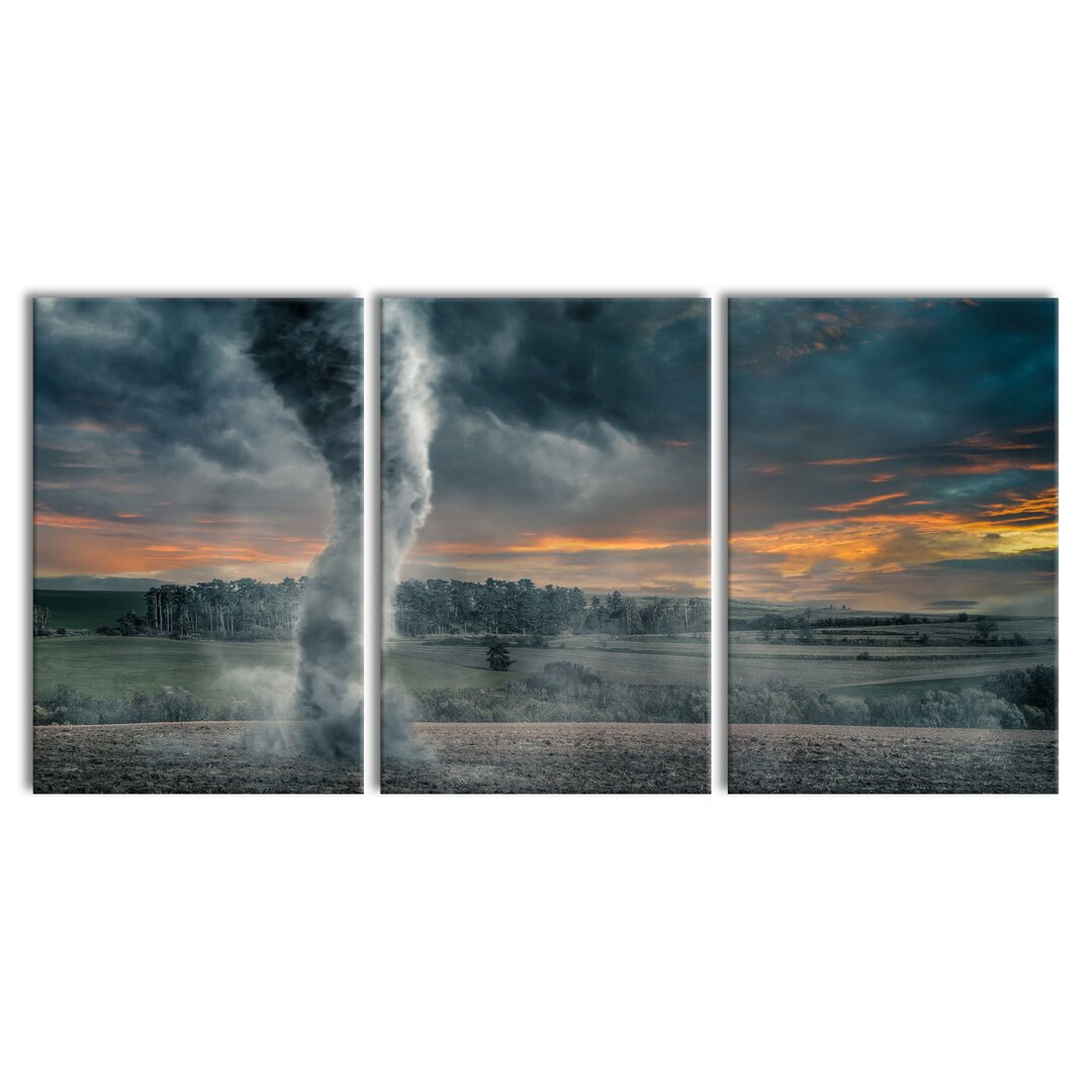 3-tlg. Leinwandbilder-Set Black Tornado on a Field