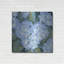 Luxe métal Art «Blue Hydrangeas II» par Tim O'Toole «Luxe métal Art« Blue Hydrangeas II »par Tim O'Toole