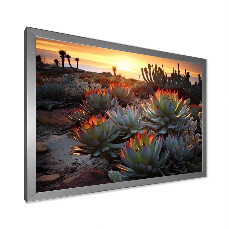 «Succulent Desert Cactus Field Burning Sunset III» - Art mural succulent, Cadre simple argenté, H 16 po x l 32 po x P 1 po