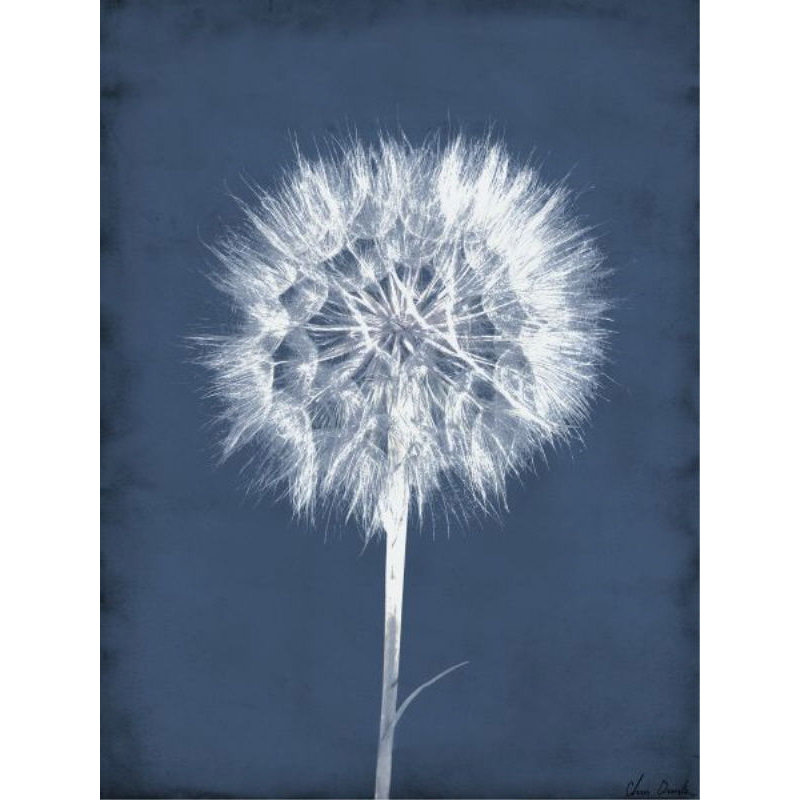 Puffy Seed III Print by Chris Dunker, Plexi, 30" W x 40" H x 1.5" D