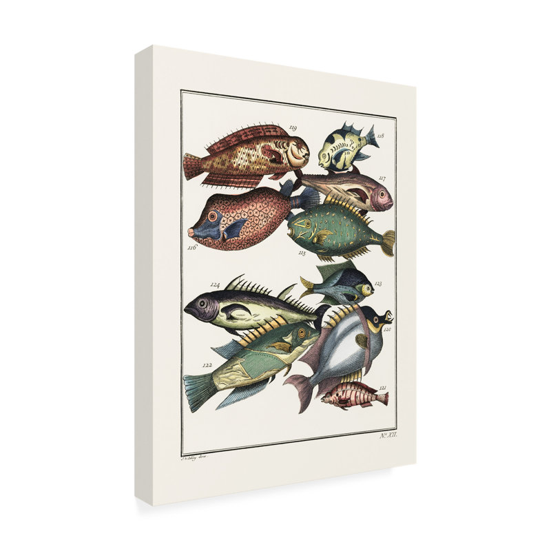 Bolog Pictufy Exotic Fish By J V Schley Canvas Art, 47" H x 35" W