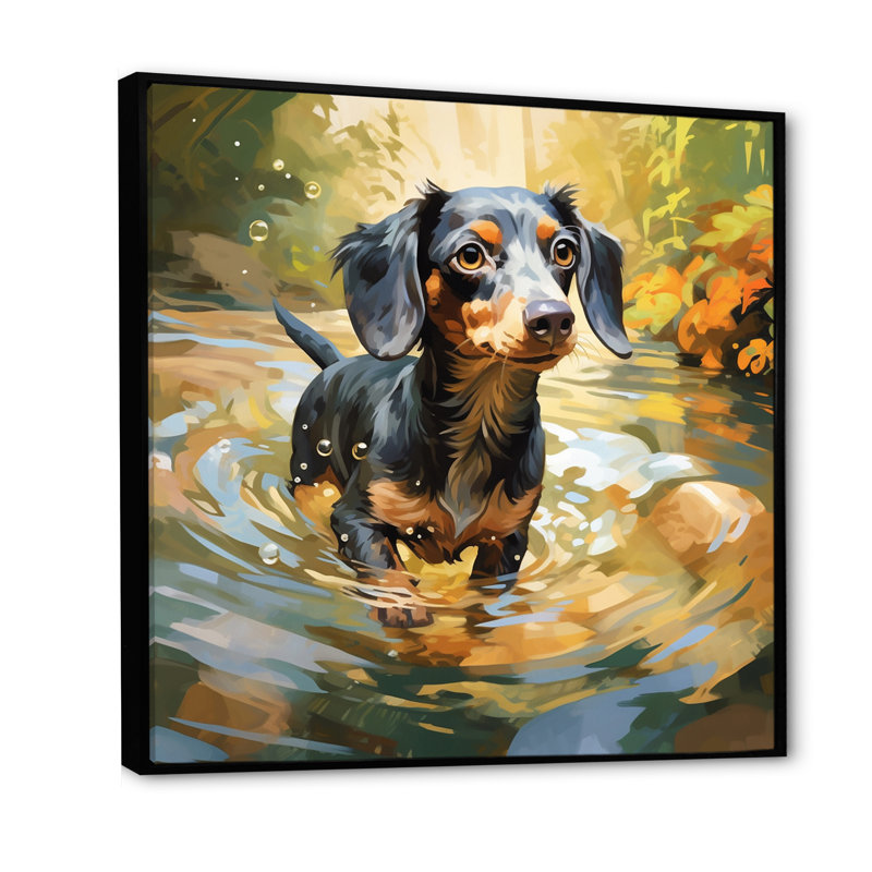 Mignon teckel jouant dans la rivière I sur toile, H 24 po x l 24 po, Cadre flottant noir